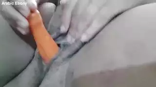 حيوانةكلبة متناق من راجل