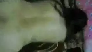 مصرى ينيك خطيبتة