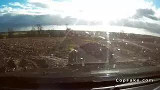 الكلبة سباحة شرطي