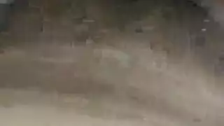 غرفة الملابس ضيق الهرة