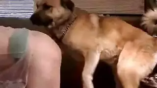 افلام سكس نساءتضاجع كلاب وخيل