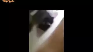 الشيخ يجيك البنت