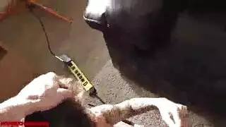 يسخن كسها لحس