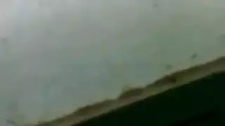 نيك اخ طيز