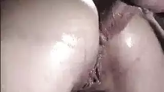 كلب مع أمرت ينكه